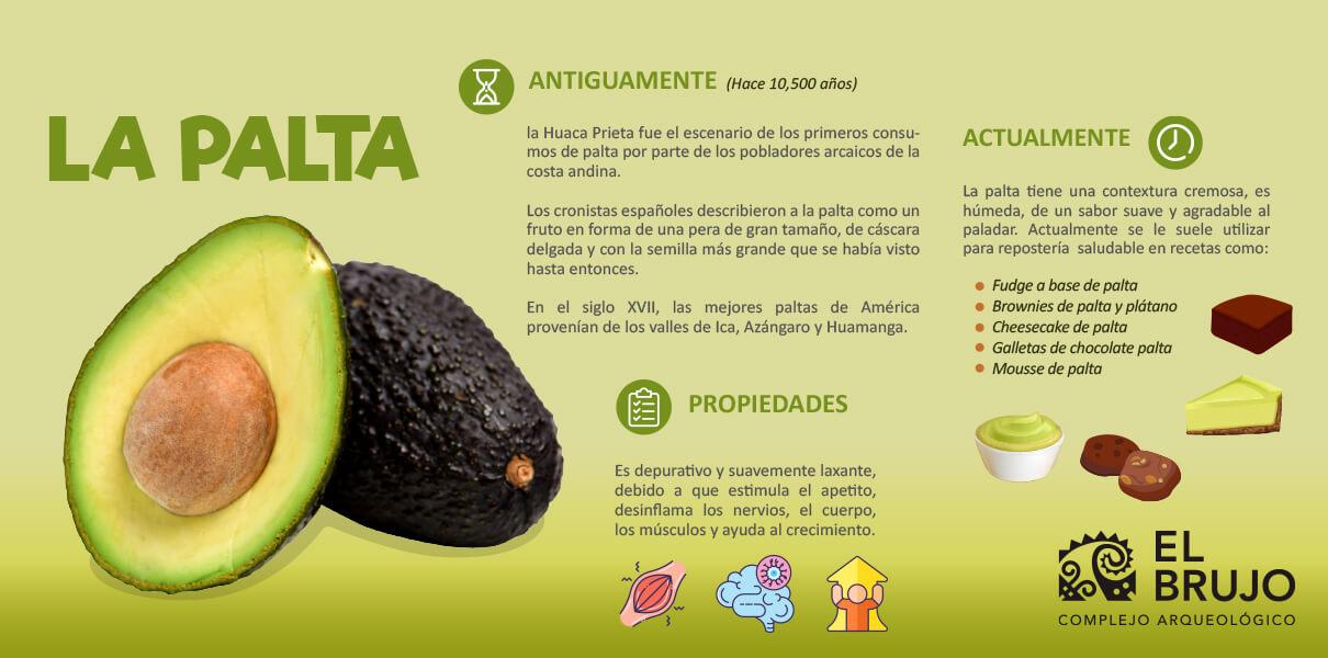 infografía de la palta