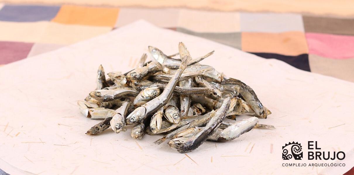 Serie Alimentos Andinos La Anchoveta Complejo Arqueológico El Brujo