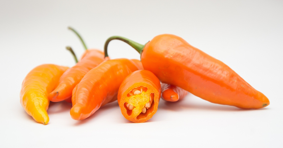 Ají Amarillo: Origin, Benefits and Uses in Peruvian Cuisine | El Brujo
