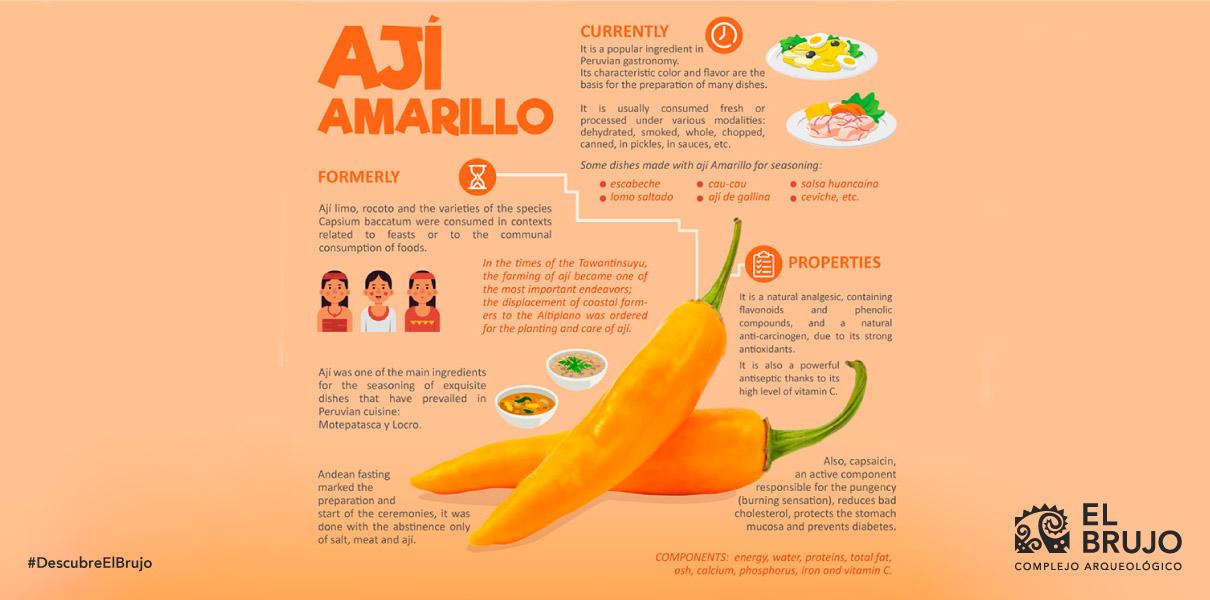 Alimentos Andino S.A - Elaboramos y Desarrollamos Productos en Polvo para  la Industria de Alimentos.