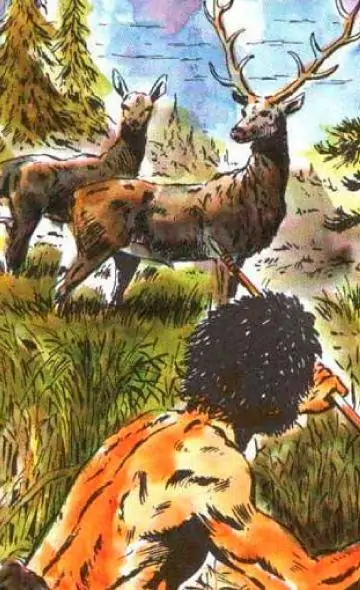 Cultura mochica: animales con los que interactuaban en la época prehispánica