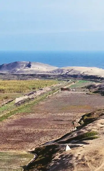 La pesca prehispánica temprana en el Complejo Arqueológico El Brujo