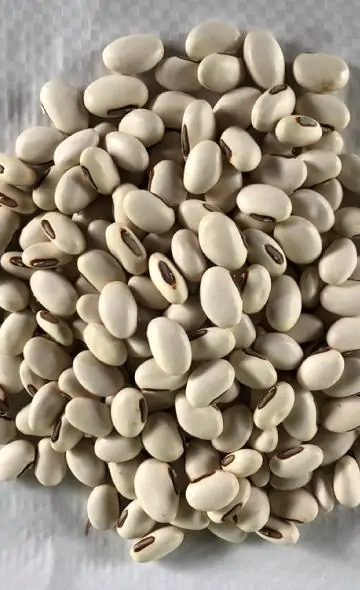 Pallar de Gentil: Serie alimentos andinos