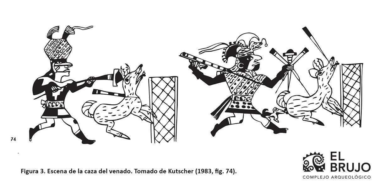 crianza de animales y caza en la cultura Mochica