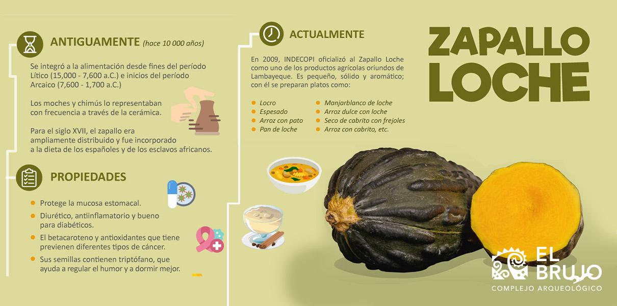 infografia zapallo loche