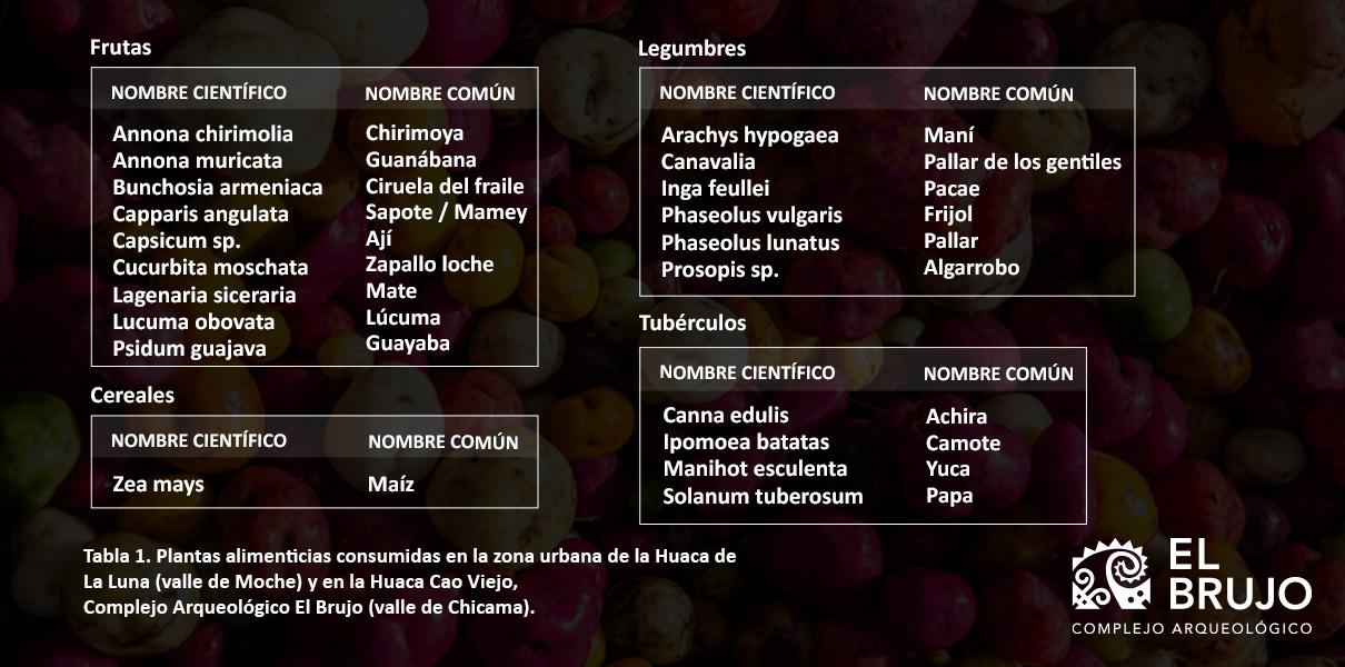 plantas alimenticias diagrama