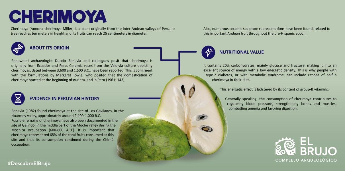 peruvian fruit exotic cherimoya