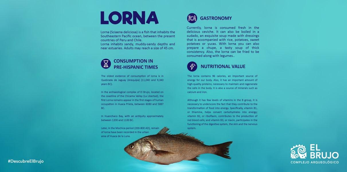 image about lorna fish 