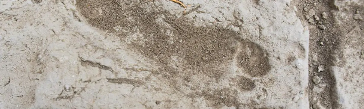 La infancia moche vista desde el Complejo Arqueológico El Brujo