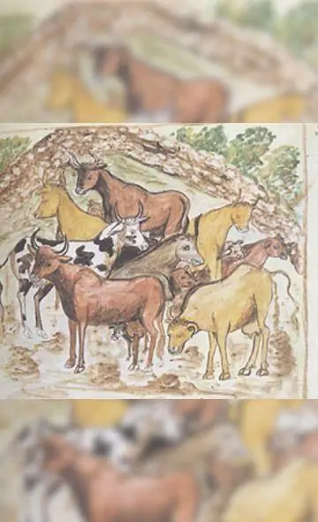 New Livestock Species During the Colonial Period at El Brujo