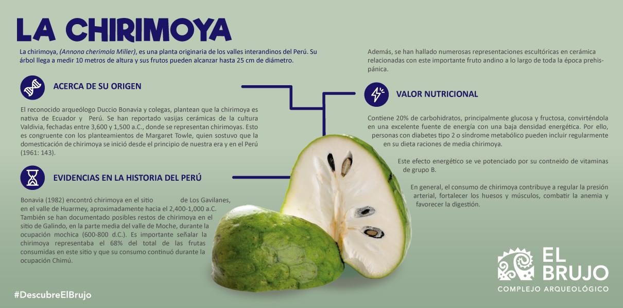 apariencia_y_distribucion_de_la_chirimoya