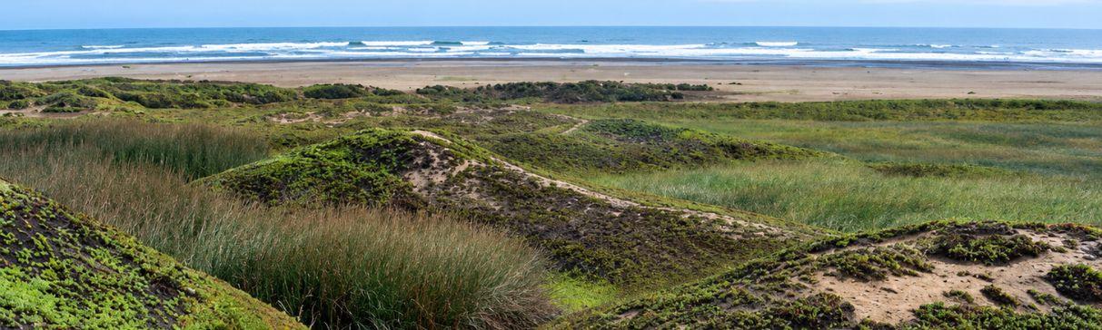 Sistemas agrícolas prehispánicos en la costa norte del Perú