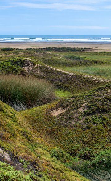 Sistemas agrícolas prehispánicos en la costa norte del Perú