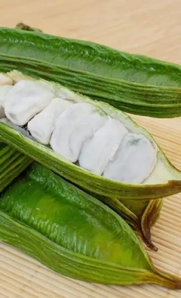 Serie Alimentos Andinos: El Pacae