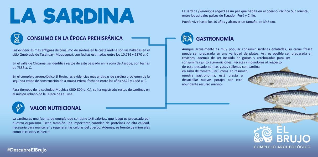propiedades_de_la_sardina