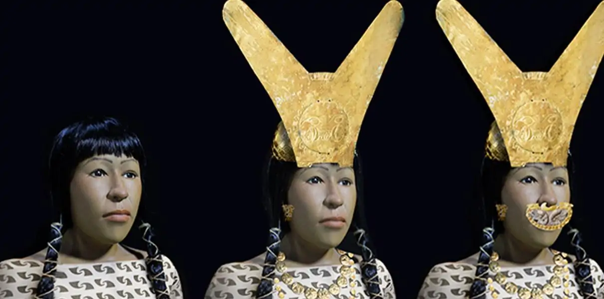 Reconstruction of The face